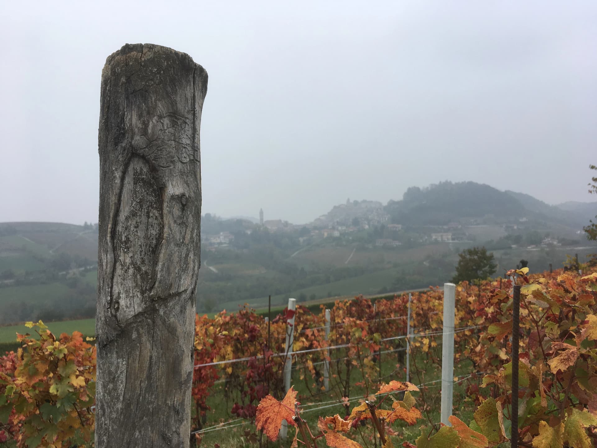Wine at Heart