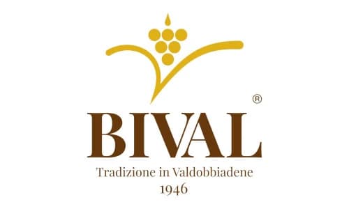 bival_logo_web.jpg