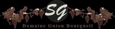 domaine_guion_logo